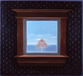 Attraverso la finestra, 1981